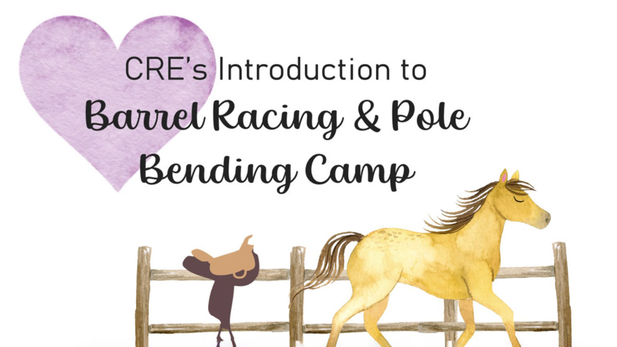 Barrel Racing and Pole Bending Camp