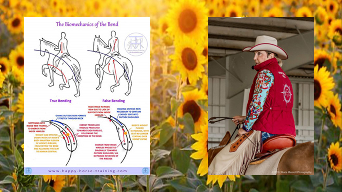 Cowboy Dressage & Horse/Rider Bio-Mechanics Clinic