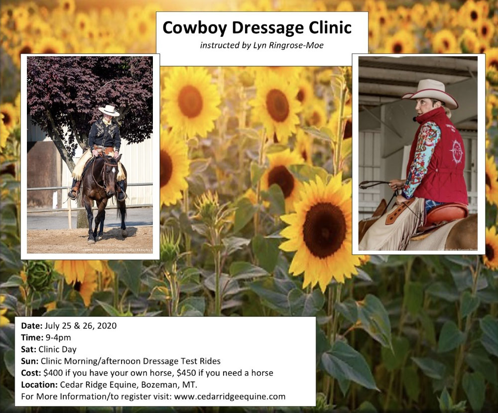Cowboy Dressage Clinic Fall 2020 Bozeman, MT