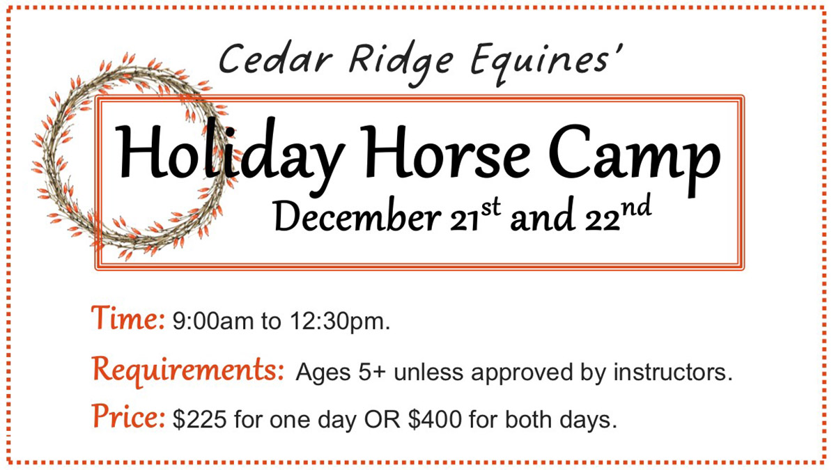 Holiday Horse Camp