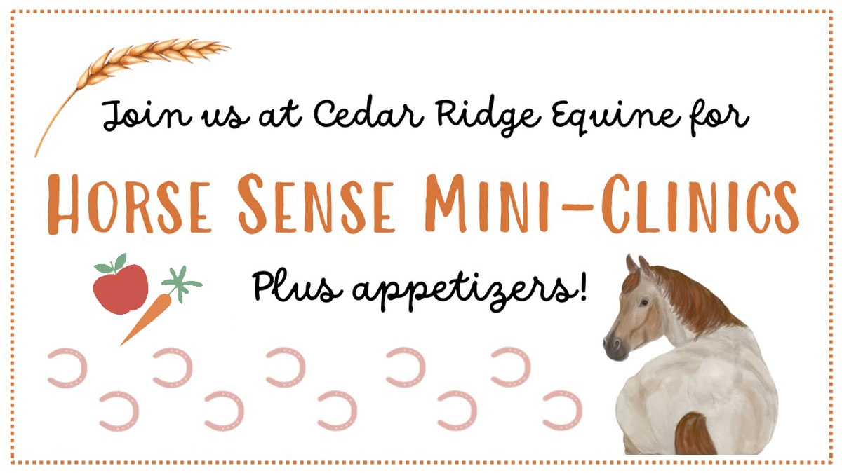 Horse Sense Mini Clinic Series