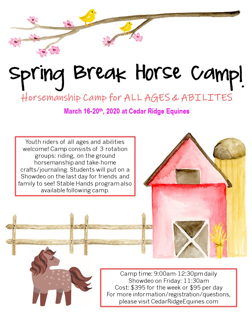 Spring Break Combination Horsemanship Camp